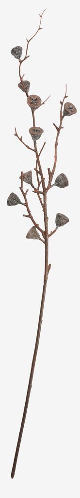 Twigs BORE D11xH68cm brown - JYSK