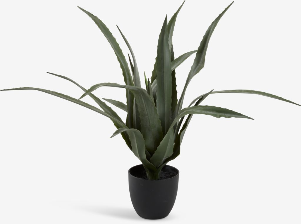 Artificial plant CELIUS H65cm aloe vera - JYSK