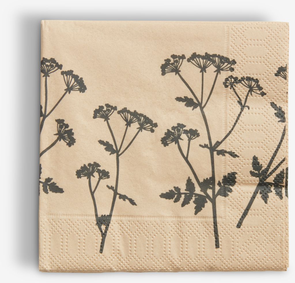 Paper napkins PHILIP 24x24cm pack of 20 - JYSK