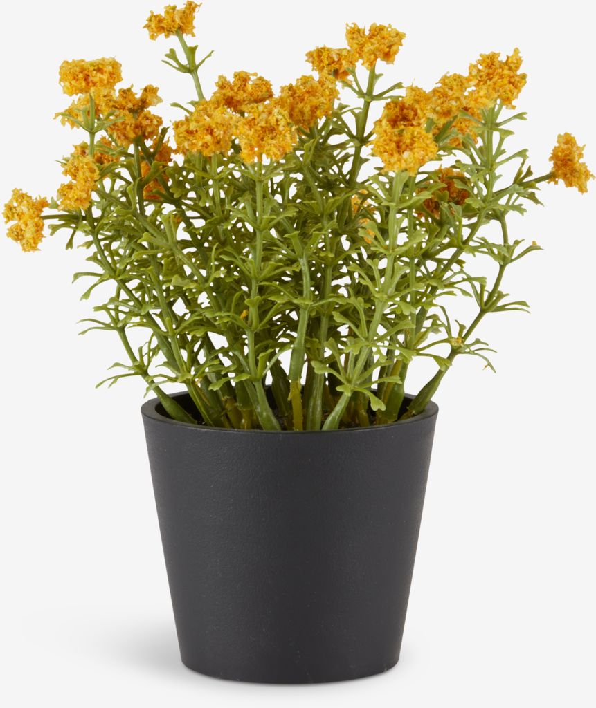 Artificial plant KALLE D13xH16cm yellow - JYSK