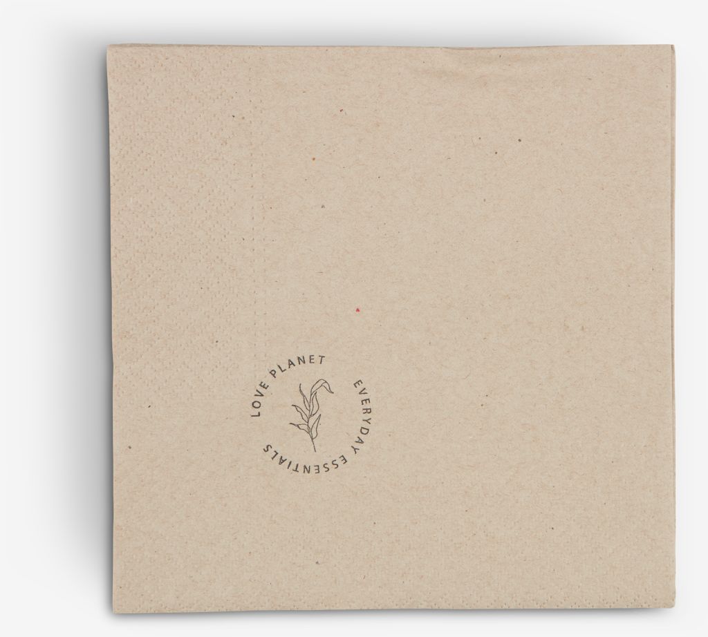 Paper napkins THOR 33x33cm pack of 20 - JYSK