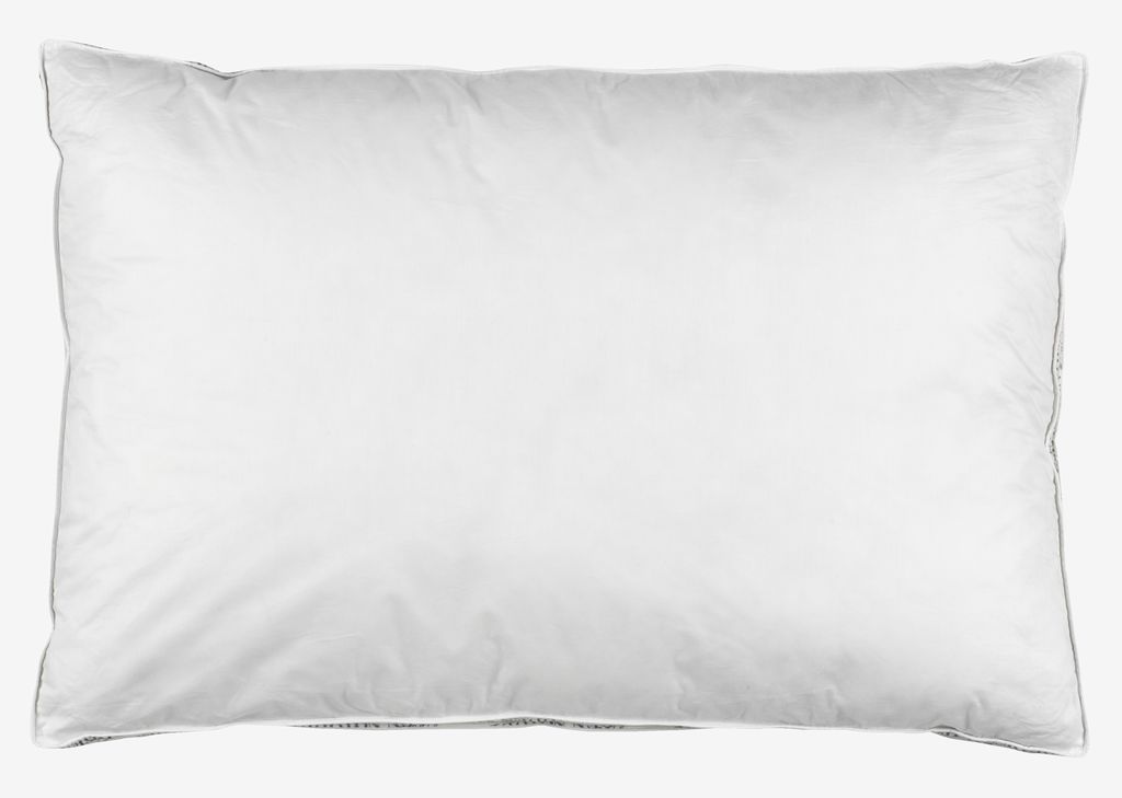 Duck feather pillow 50x70/75x3 NOTODDEN - JYSK