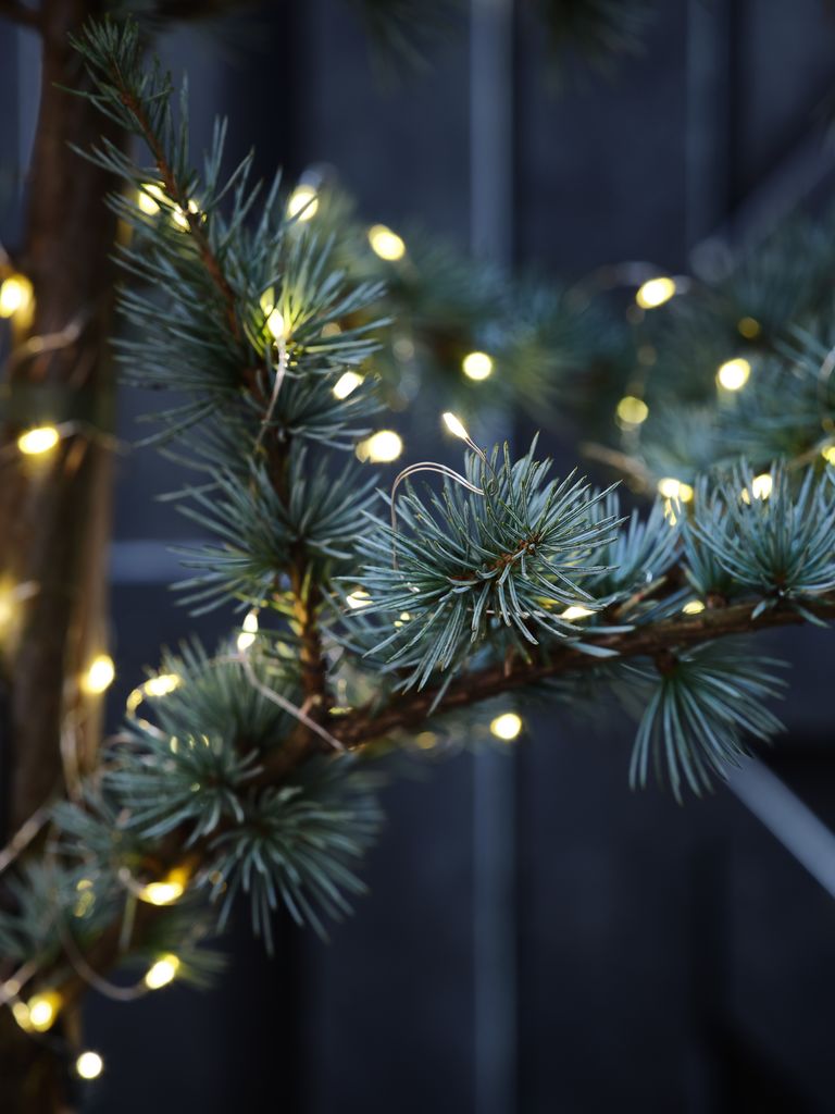 LED string lights ANTIGORIT L790cm with 80 LED w/timer - JYSK