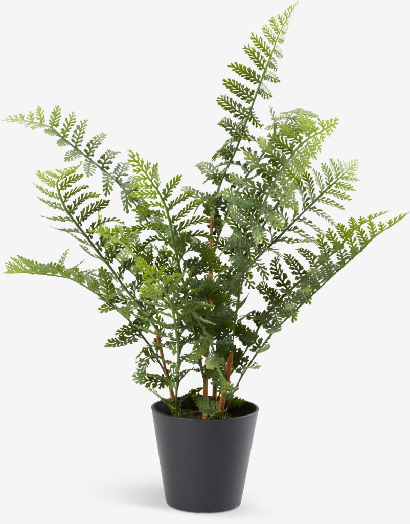 Artificial plant EILEV D40xH51cm green - JYSK