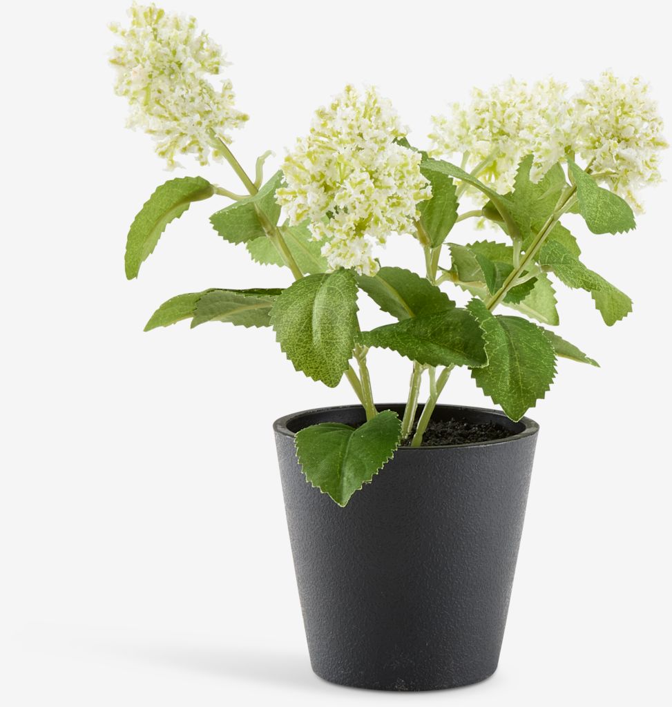 Artificial plant DANIEL D10xH22cm with pot - JYSK